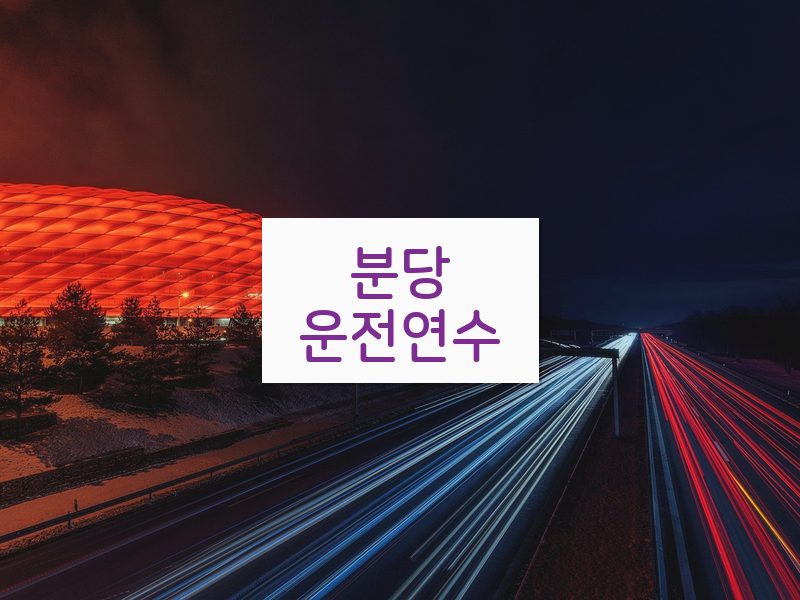 분당운전연수 후기
