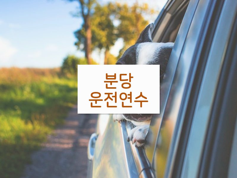 분당운전연수 후기