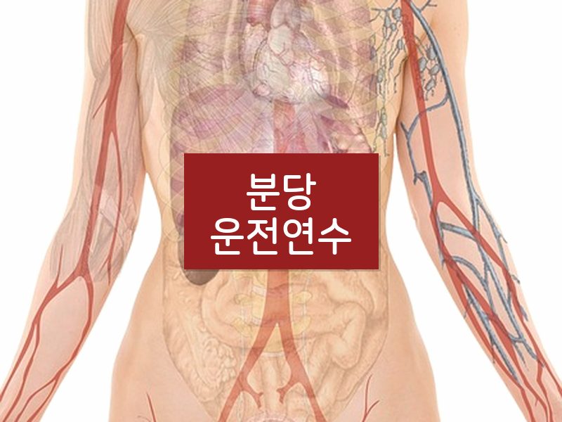 분당운전연수 후기