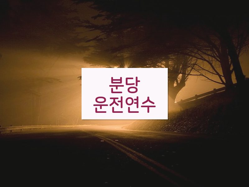 분당운전연수 후기