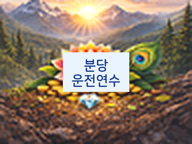 분당운전연수 후기
