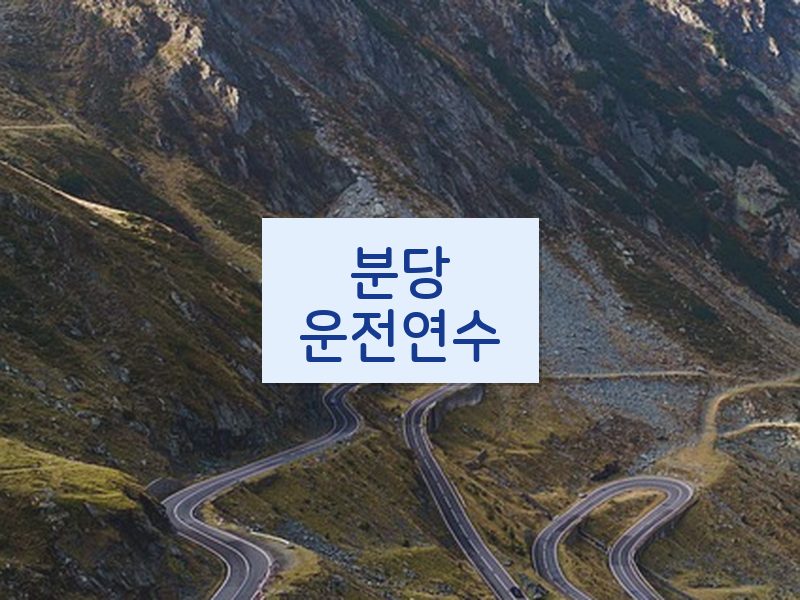 분당운전연수 후기