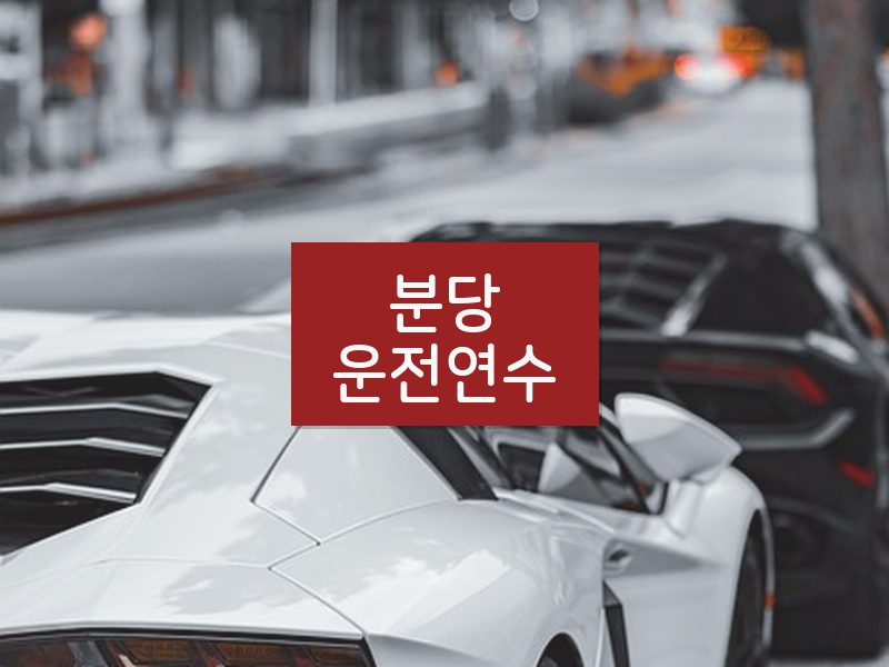 분당운전연수 후기