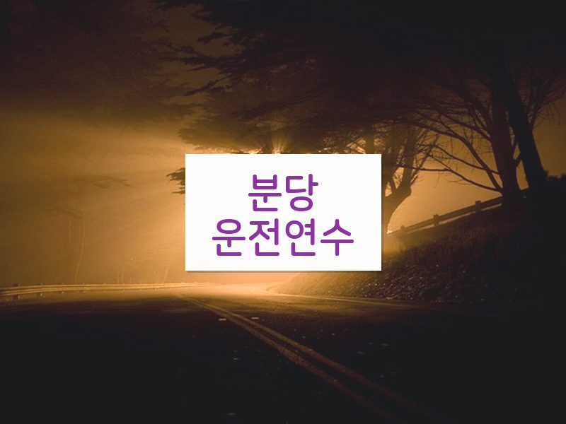 분당운전연수 후기