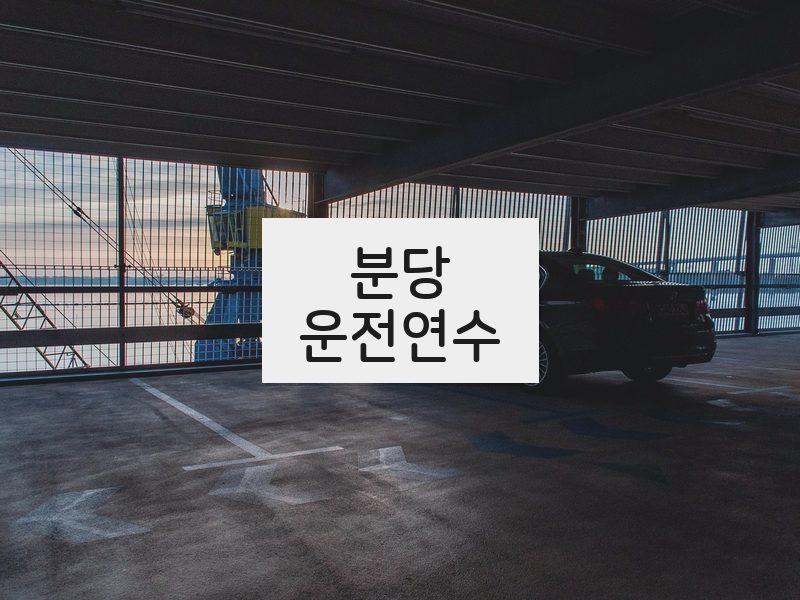 분당운전연수 후기