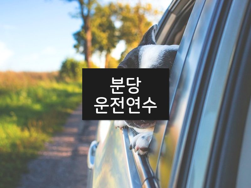 분당운전연수 후기