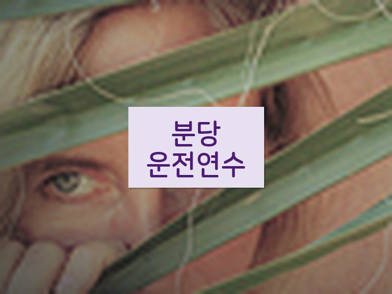 분당운전연수 후기