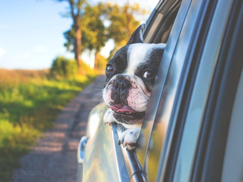 분당운전연수 후기