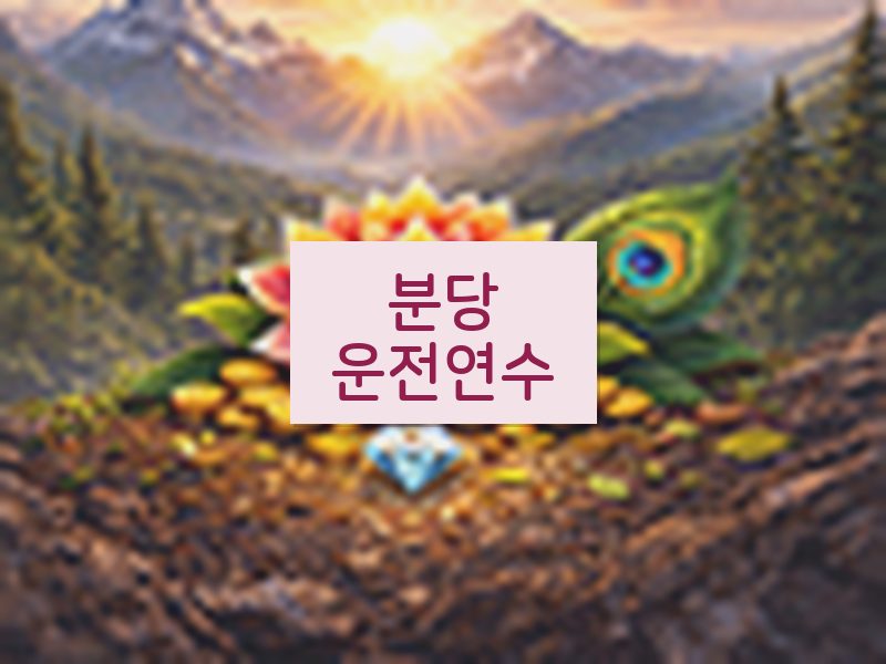 분당운전연수 후기