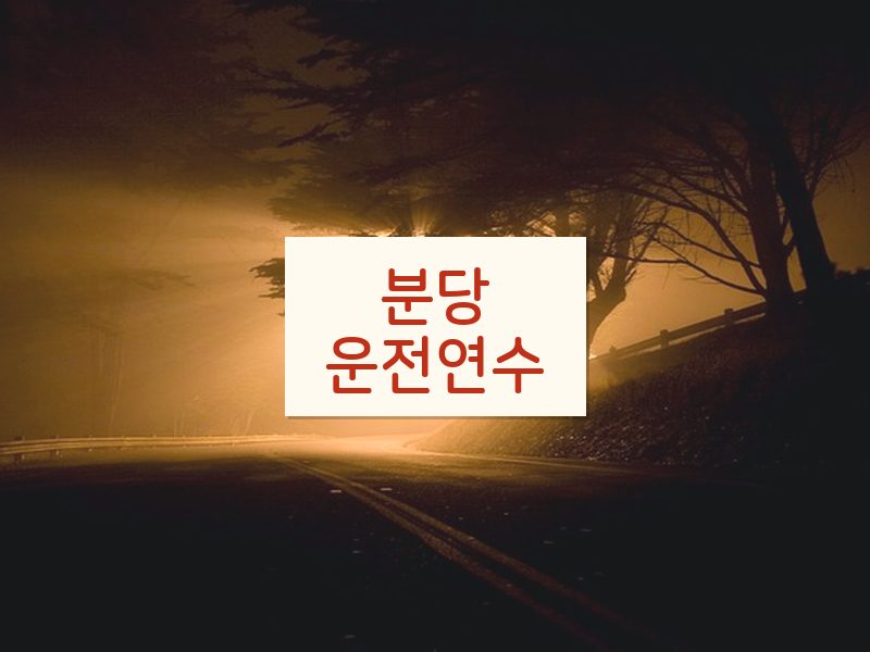 분당운전연수 후기