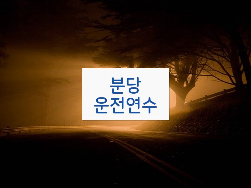 분당운전연수 후기
