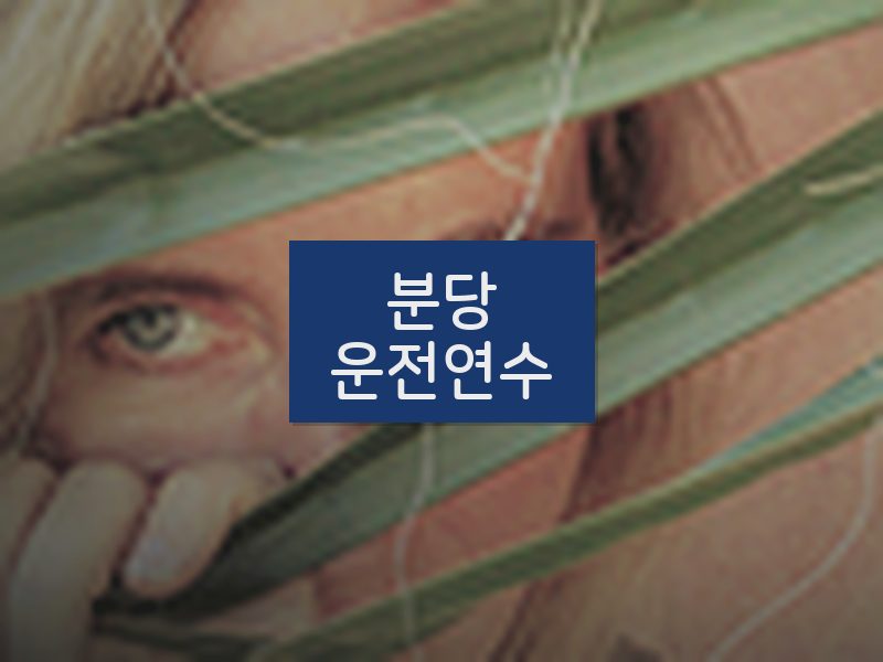분당운전연수 후기