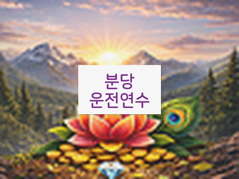 분당운전연수 후기