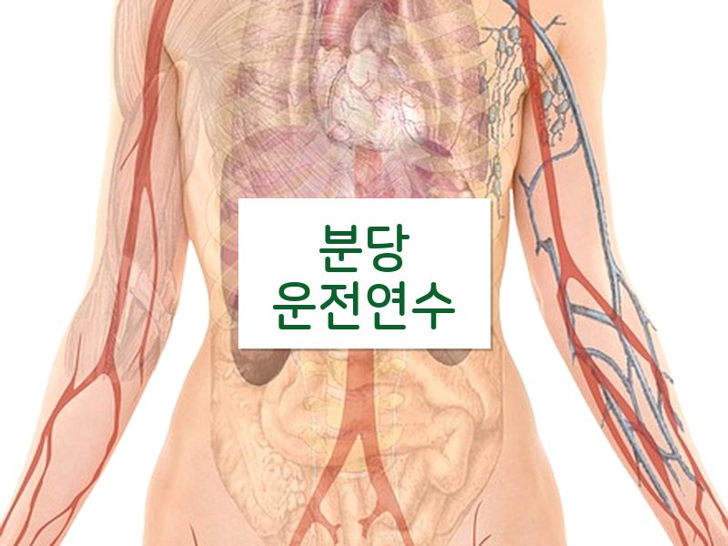 분당운전연수 후기