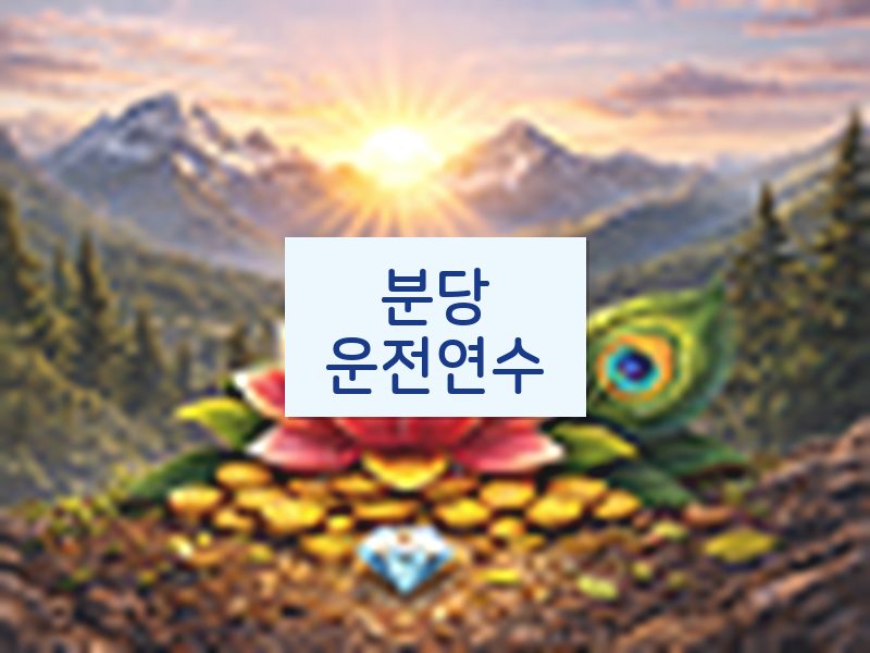 분당운전연수 후기