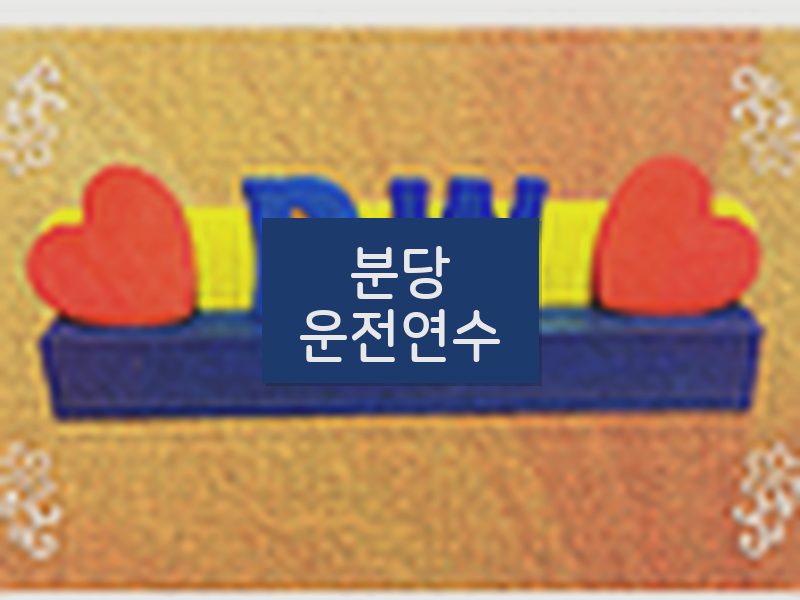 분당운전연수 후기