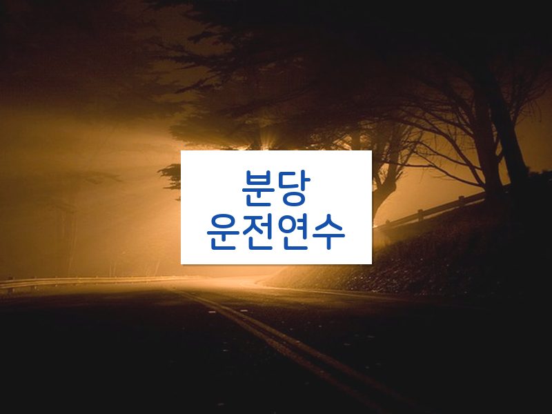 분당운전연수 후기