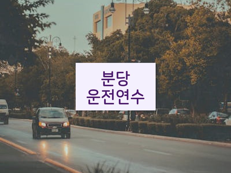분당운전연수 후기
