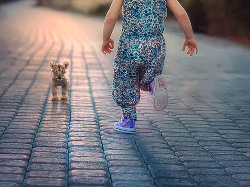 분당운전연수 후기