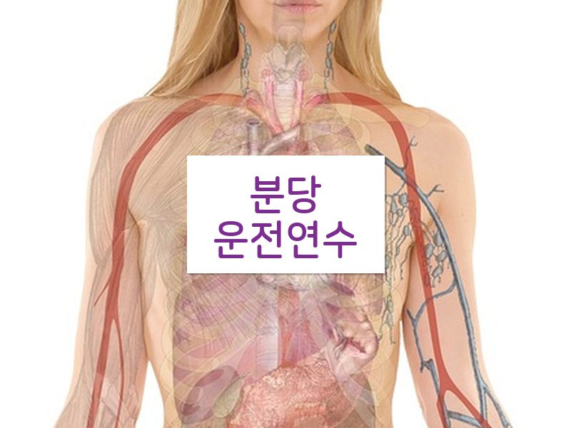 분당운전연수 후기