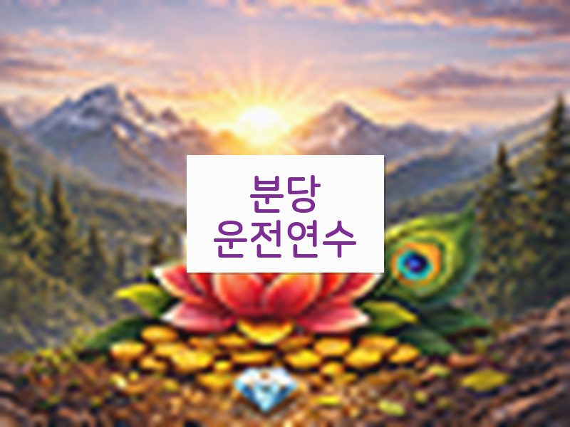 분당운전연수 후기