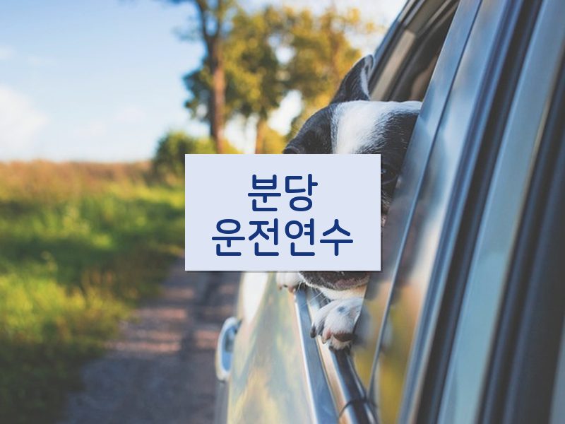 분당운전연수 후기