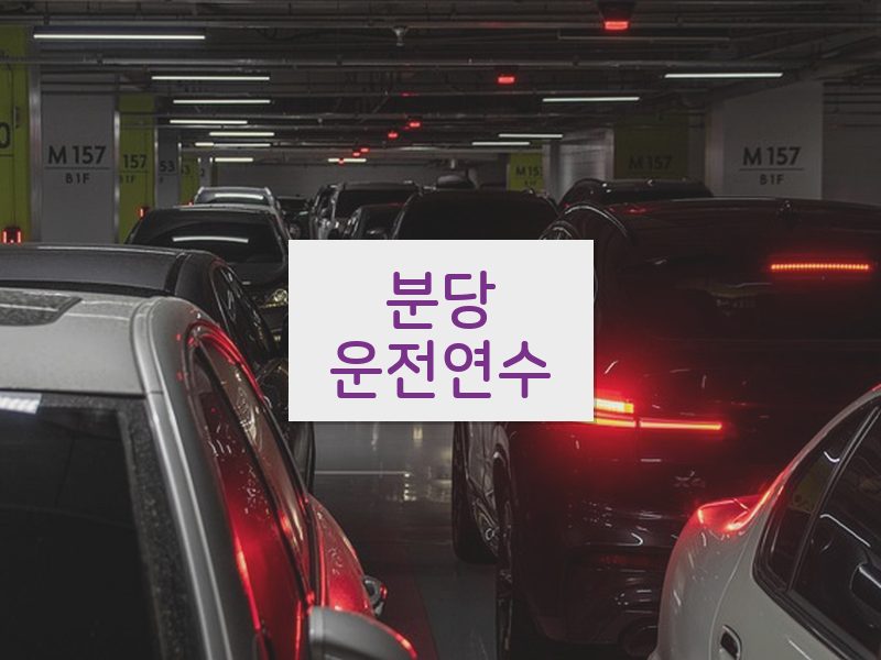 분당운전연수 후기