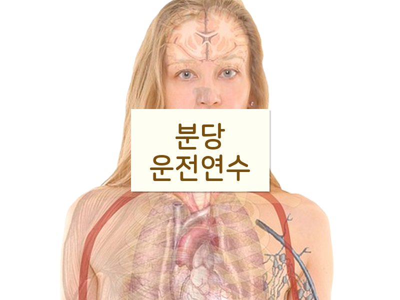 분당운전연수 후기