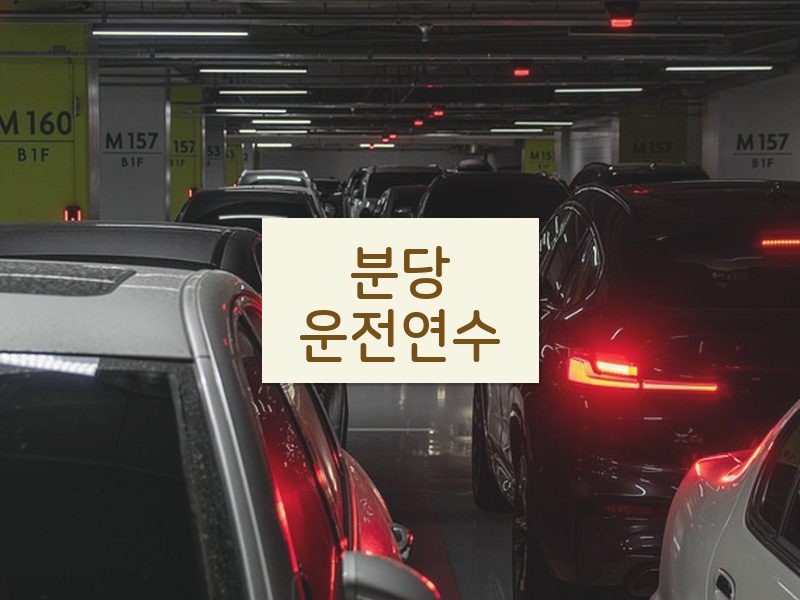 분당운전연수 후기
