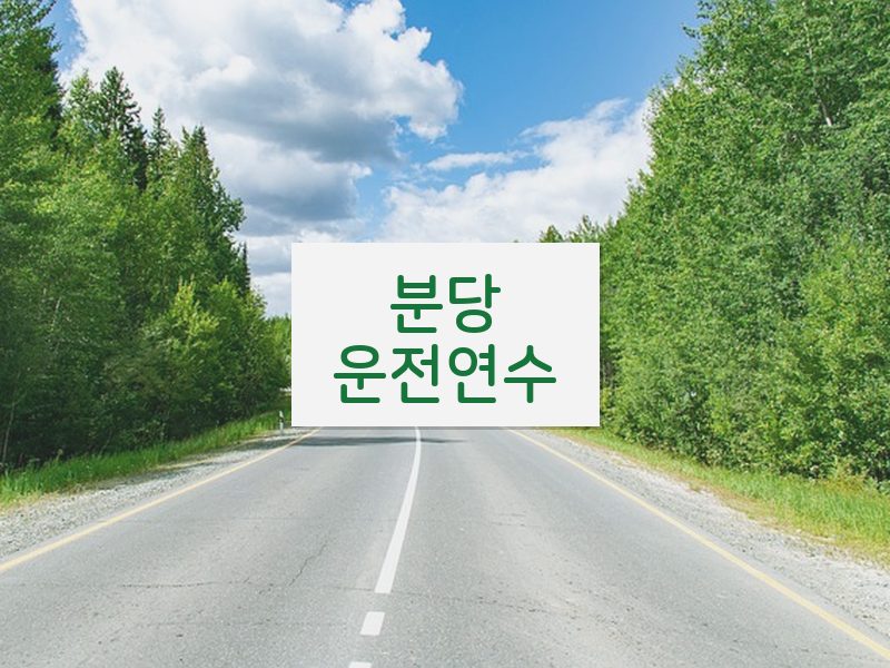 분당운전연수 후기