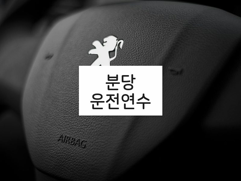 분당운전연수 후기
