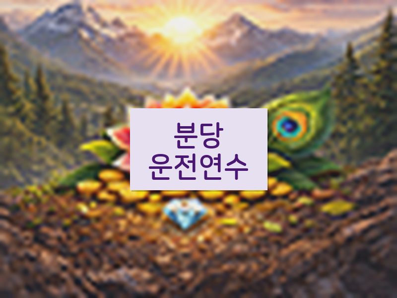 분당운전연수 후기