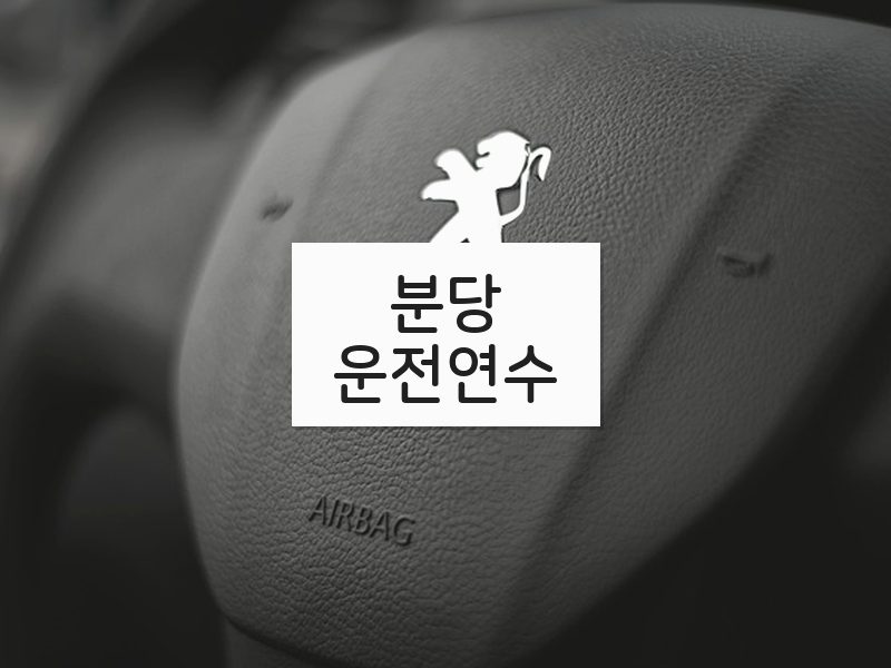 분당운전연수 후기