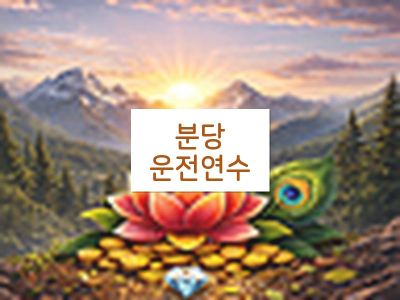 분당운전연수 후기