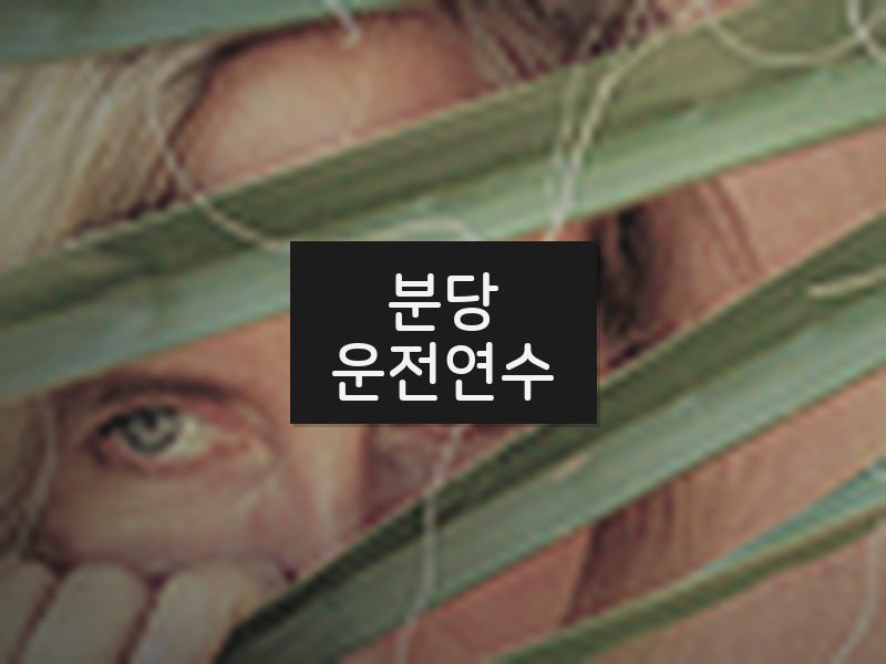 분당운전연수 후기