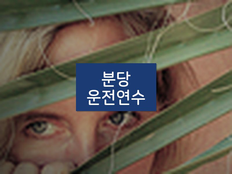 분당운전연수 후기
