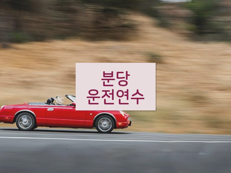 분당운전연수 후기