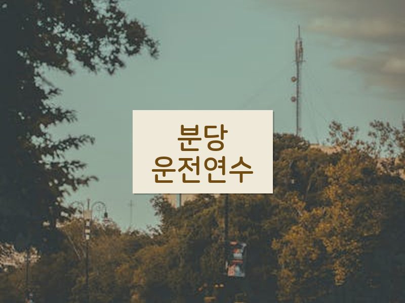 분당운전연수 후기