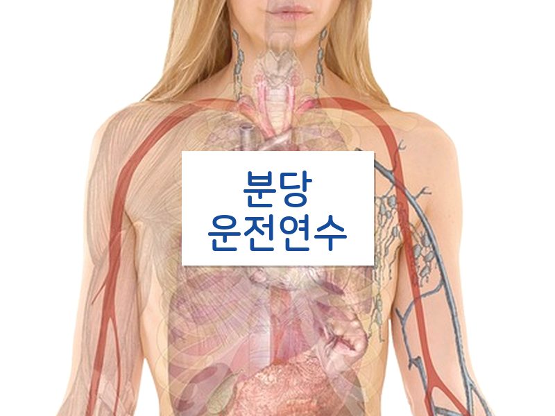 분당운전연수 후기
