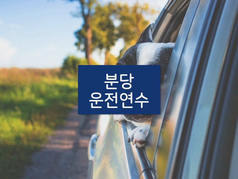 분당운전연수 후기