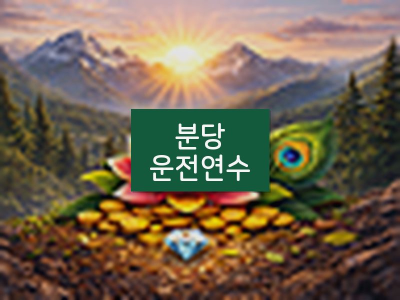 분당운전연수 후기