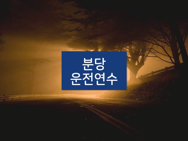 분당운전연수 후기