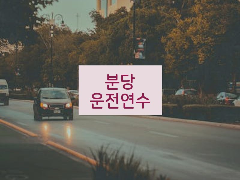 분당운전연수 후기