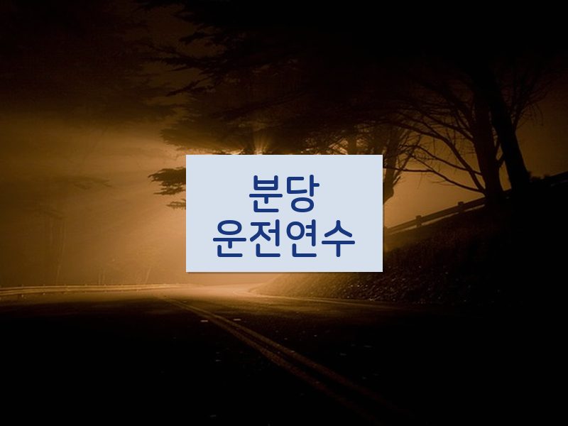 분당운전연수 후기