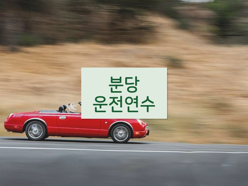 분당운전연수 후기