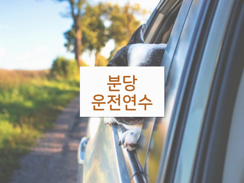 분당운전연수 후기