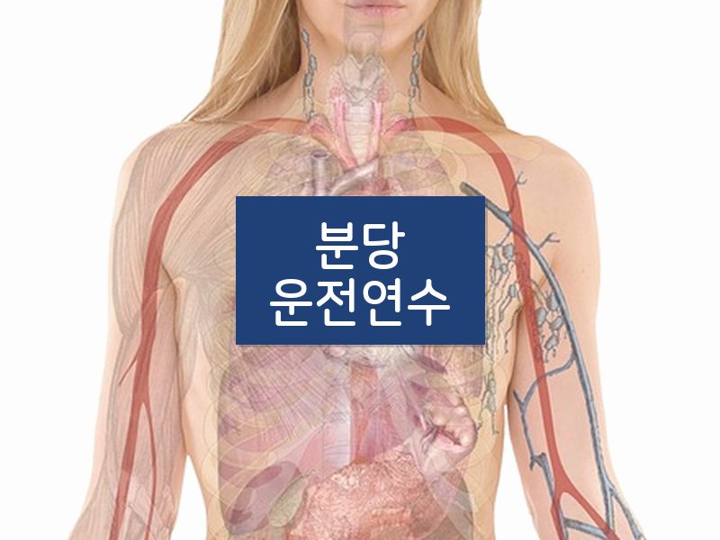 분당운전연수 후기