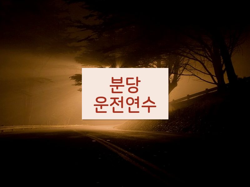 분당운전연수 후기