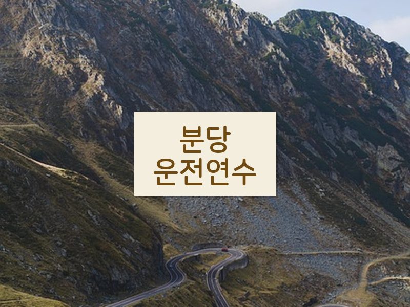 분당운전연수 후기