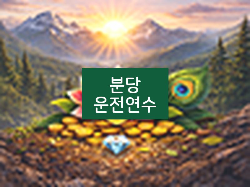 분당운전연수 후기